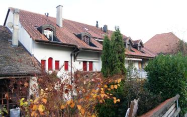 Wohnung ein Zimmer - image - 1