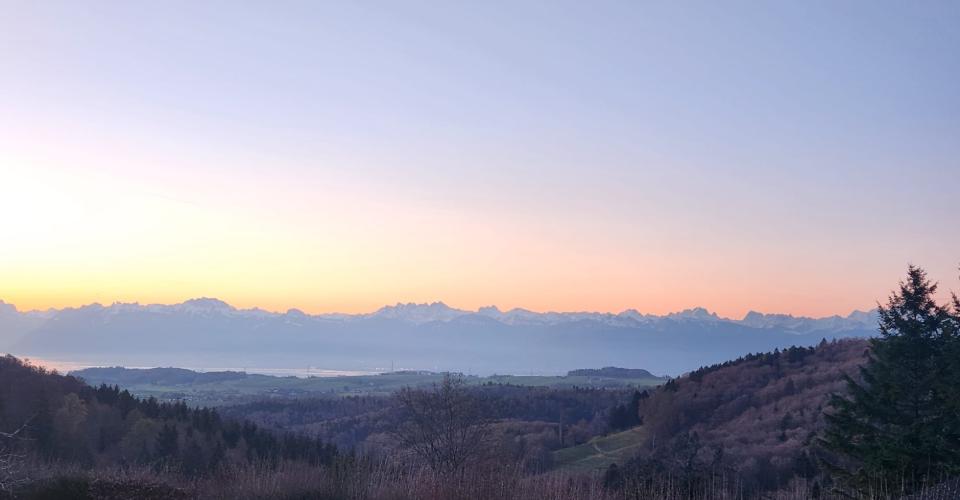 St-George