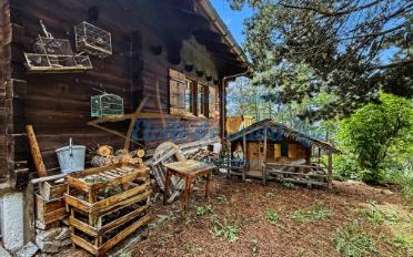 Chalet 8 Zimmer - image - 2