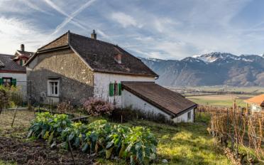 Single house 3.5 rooms - image - 1