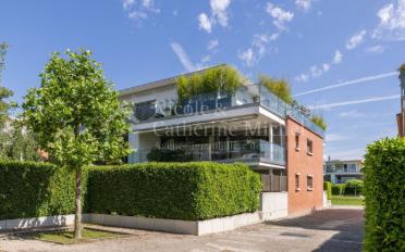 Wohnung 4.5 Zimmer - image - 2