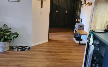 Wohnung 2.5 Zimmer - image - 11