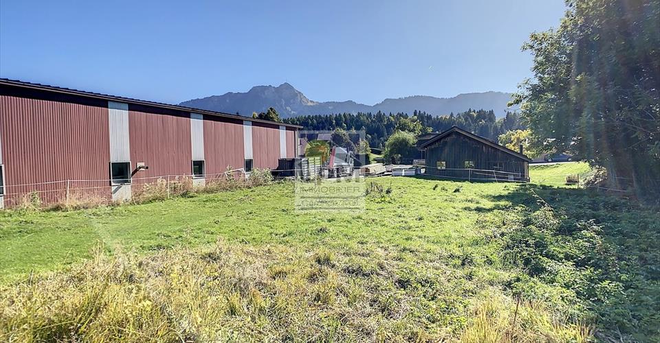Leysin