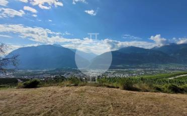 Wohnung 3.5 Zimmer - image - 5