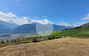 Appartement 4.5 pièces - image - 7