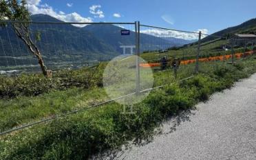 Appartement 4.5 pièces - image - 11