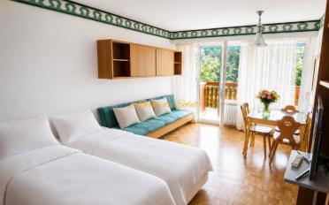 Studio ein Zimmer - image - 2