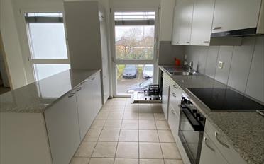 Appartement 4.5 pièces - image - 4