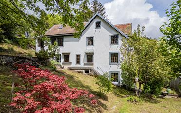 Einfamilienhaus 10 Zimmer - image - 3