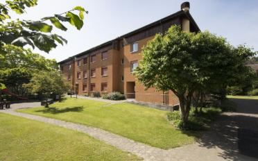 Apartment 3.5 rooms - image - 6