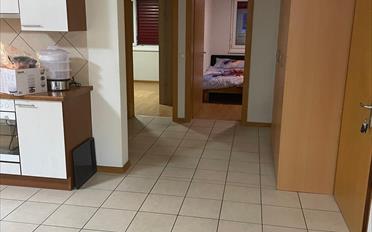 Appartement 3.5 pièces - image - 3