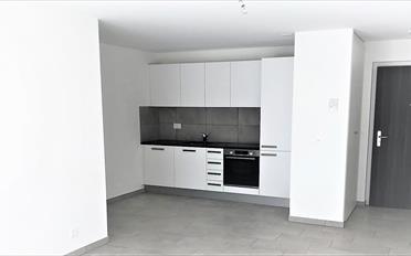 Wohnung 2.5 Zimmer - image - 1