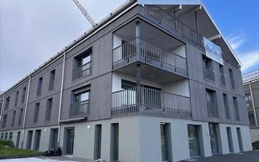 Apartment 2.5 rooms - image - 1