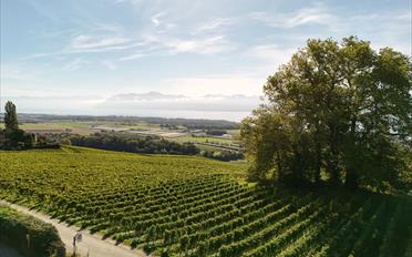 Single house 6.5 rooms - image - 11