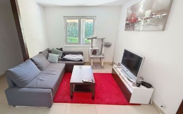 Einfamilienhaus 8.5 Zimmer - image - 12