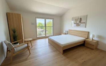Doppeleinfamilienhaus 5.5 Zimmer - image - 7