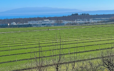 Duplex 4.5 Zimmer - image - 2
