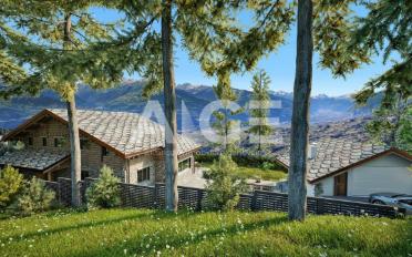Chalet 10 rooms - image - 8