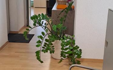 Bureau - image - 9