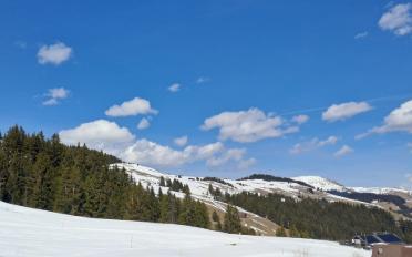Bauland - image - 4