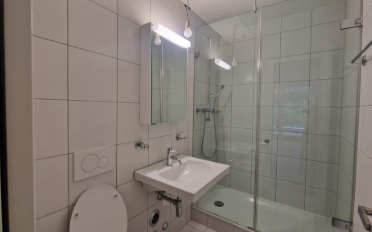 Apartment 4.5 rooms - image - 9