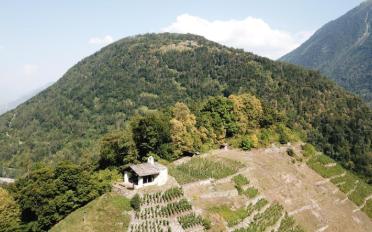Agrarland - image - 5