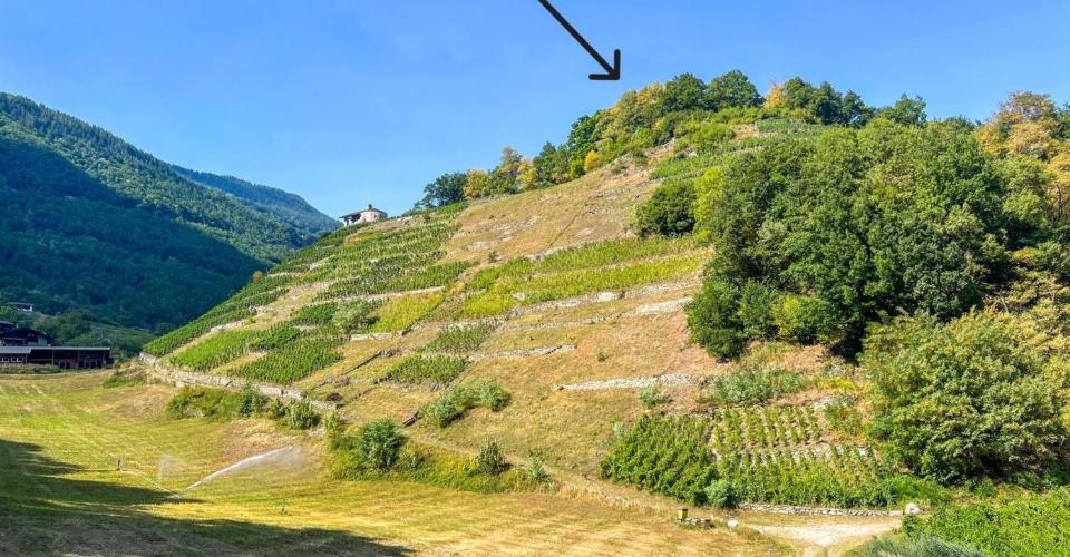 Martigny