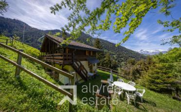 Chalet 4.5 Zimmer - image - 1