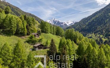 Chalet 4.5 Zimmer - image - 13