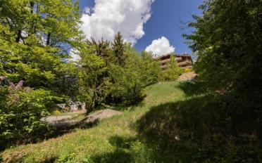 Bauland - image - 3