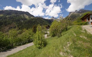 Bauland - image - 3