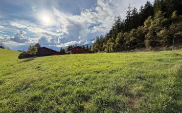 Chalet 4.5 rooms - image - 8