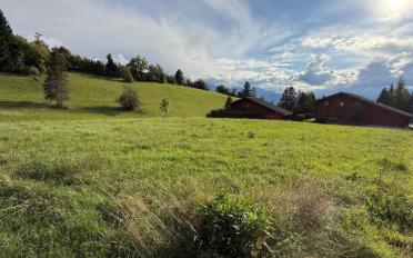 Chalet 4.5 rooms - image - 9
