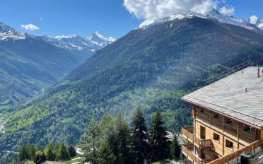 Attique 2.5 pièces - image - 5