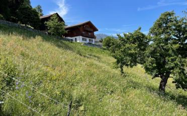 Bauland - image - 2