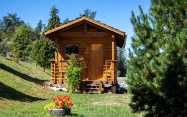 Chalet 4 rooms - image - 7