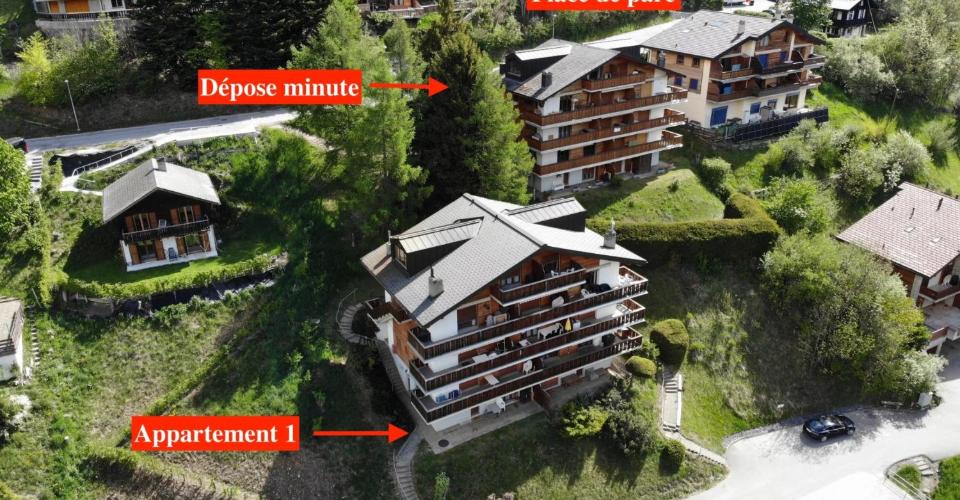 Charmant appartement meublé à Ovronnaz, 1 chambre