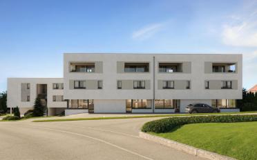 Wohnung 2.5 Zimmer - image - 3