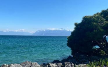 Villa 6.5 rooms - image - 11