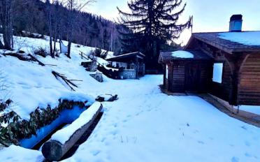 Chalet 6.5 pièces - image - 12
