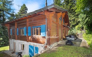 Chalet 9 pièces - image - 3