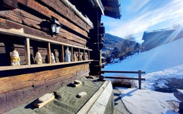 Chalet 4 rooms - image - 14