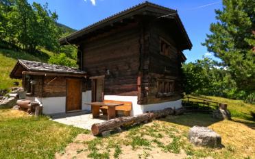 Chalet 4.5 pièces - image - 1