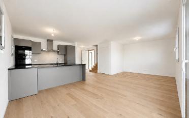Doppeleinfamilienhaus 4.5 Zimmer - image - 3