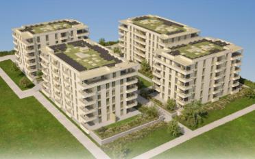 Wohnung 4.5 Zimmer - image - 12