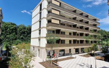 Wohnung 2.5 Zimmer - image - 1