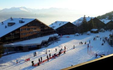 Wohnung 2 Zimmer - image - 9