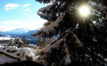 Apartment 3 rooms - image - 9