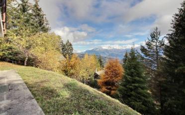 Wohnung 3 Zimmer - image - 8