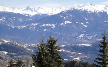 Wohnung 3 Zimmer - image - 9